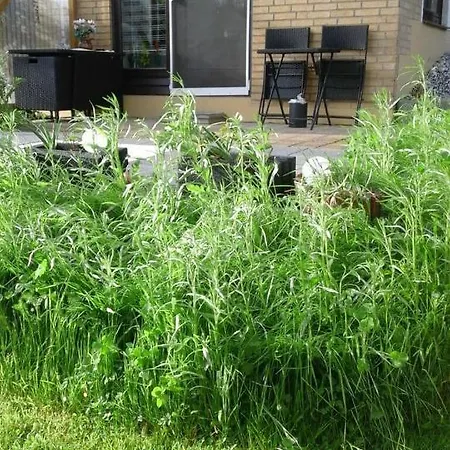 Apartmán Wikingerstadt 1 Šlesvik